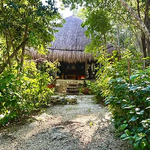 bunga-lotus-glamping-otoch-nacom.quintano-roohotels.com/